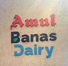 bnasdiary